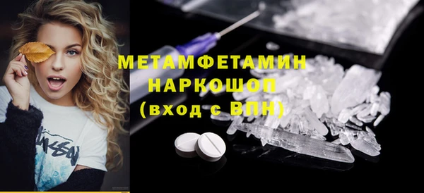 прущие грибы Протвино