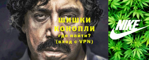 прущие грибы Протвино
