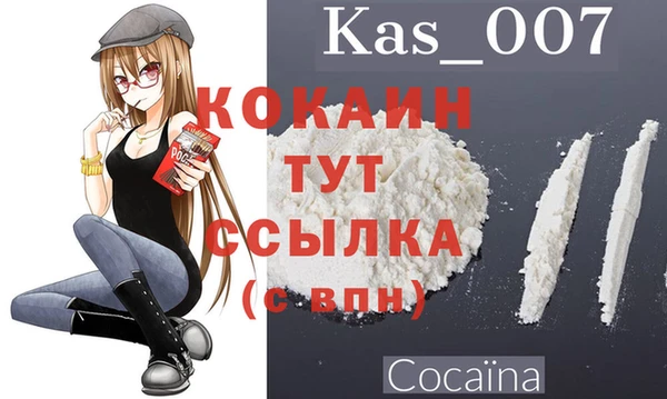 прущие грибы Протвино