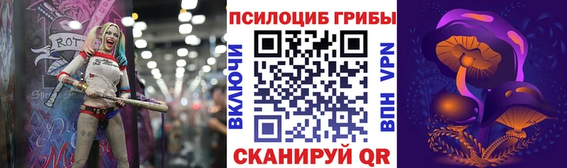 Псилоцибиновые грибы GOLDEN TEACHER  Купить закладки  Сухиничи 
